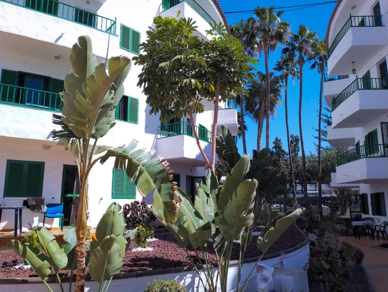 Canarian Havaii En Faluas بلايا ديل إنغلز المظهر الخارجي الصورة